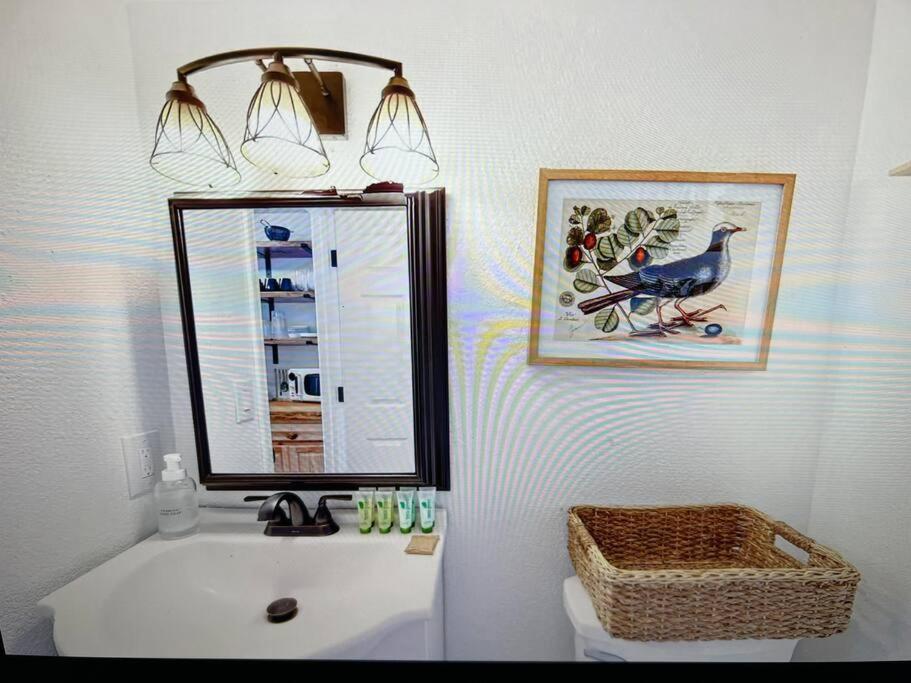New Modern Boho Apt- Close To Yosemite Oakhurst Ngoại thất bức ảnh